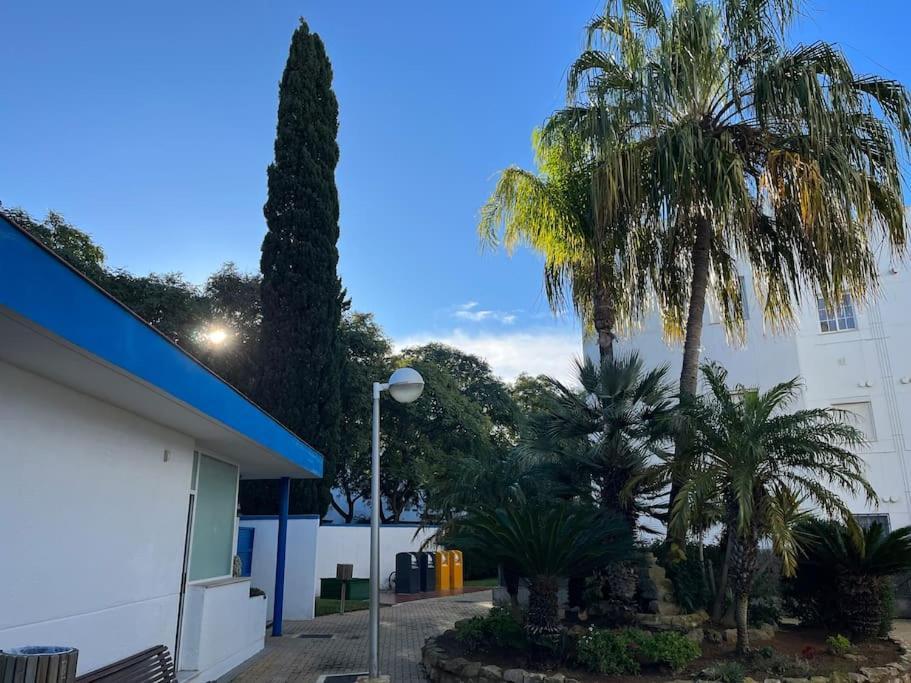 Apartamento En Costa Ballena, Urb. Playa Ballena Cádiz Eksteriør bilde