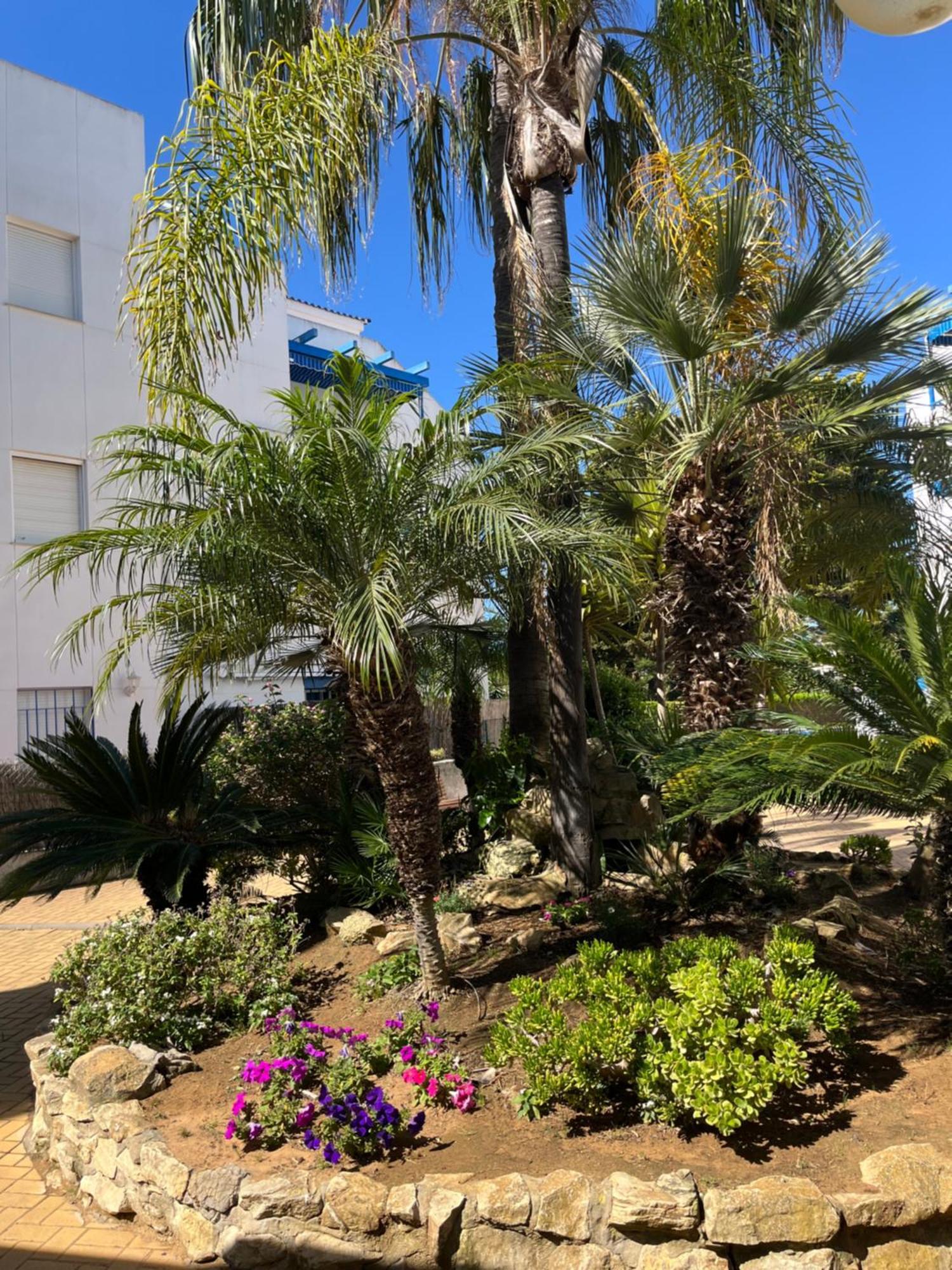Apartamento En Costa Ballena, Urb. Playa Ballena Cádiz Eksteriør bilde